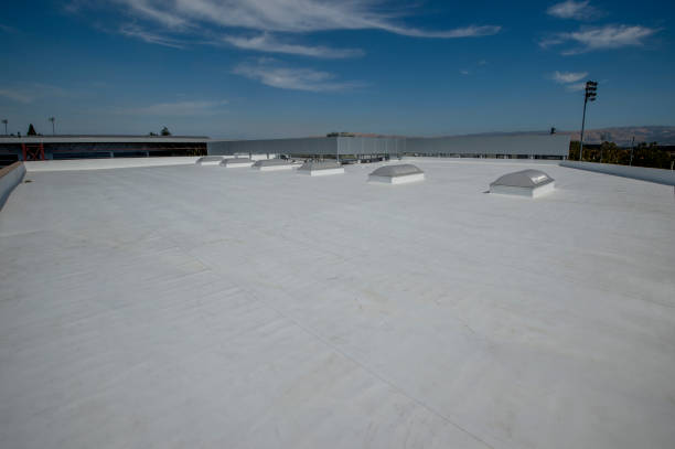Best Roof Insulation Installation  in Palmetto Bay, FL