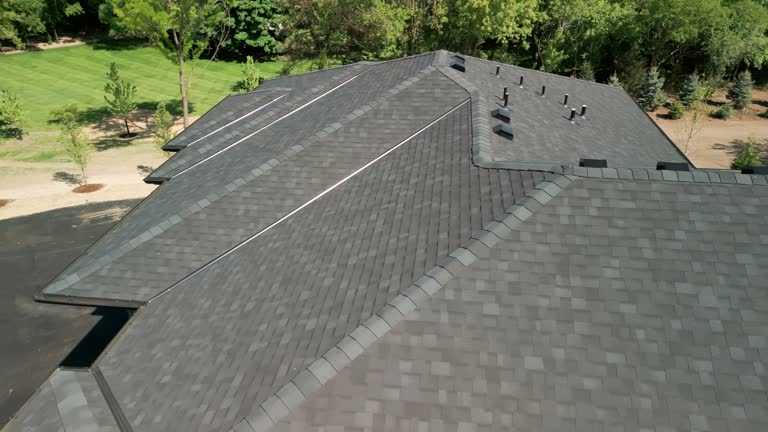 Best Roof Moss and Algae Removal  in Palmetto Bay, FL