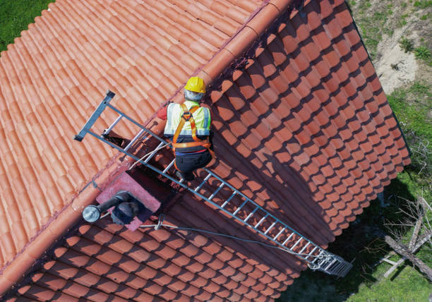 Best Cold Roofs  in Palmetto Bay, FL