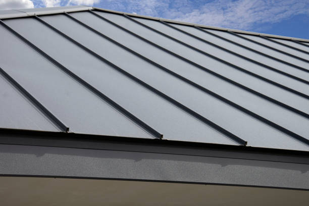 Best Hot Roofs  in Palmetto Bay, FL